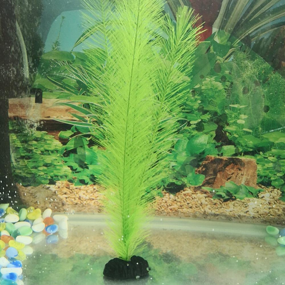 1/3 قطعة 28/40 سنتيمتر حوض للأ - مراجعة Live Plant Aquarium وسعره