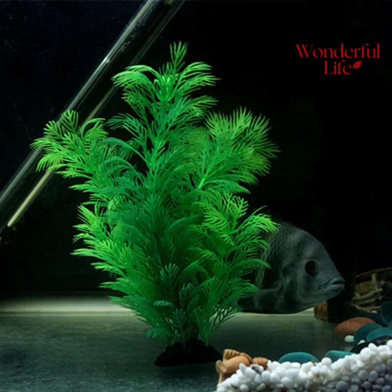 19/30 سنتيمتر العشب المياه الن - مراجعة Aquarium Plants Live وسعره