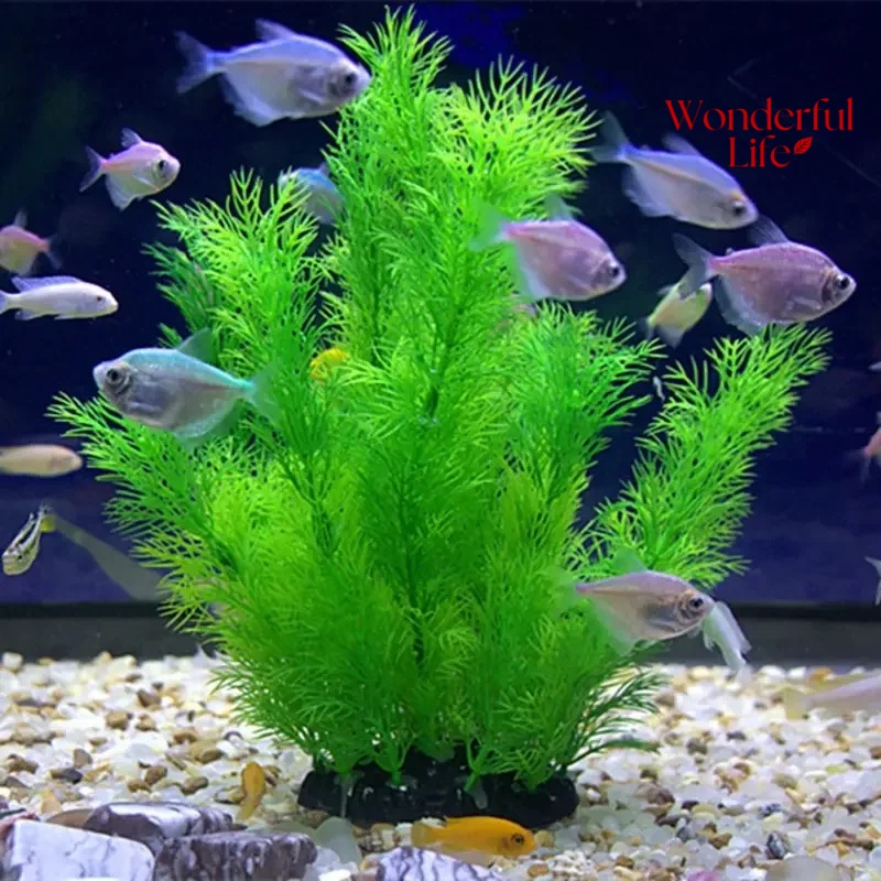 19/30 سنتيمتر العشب المياه الن - مراجعة Aquarium Plants Live وسعره