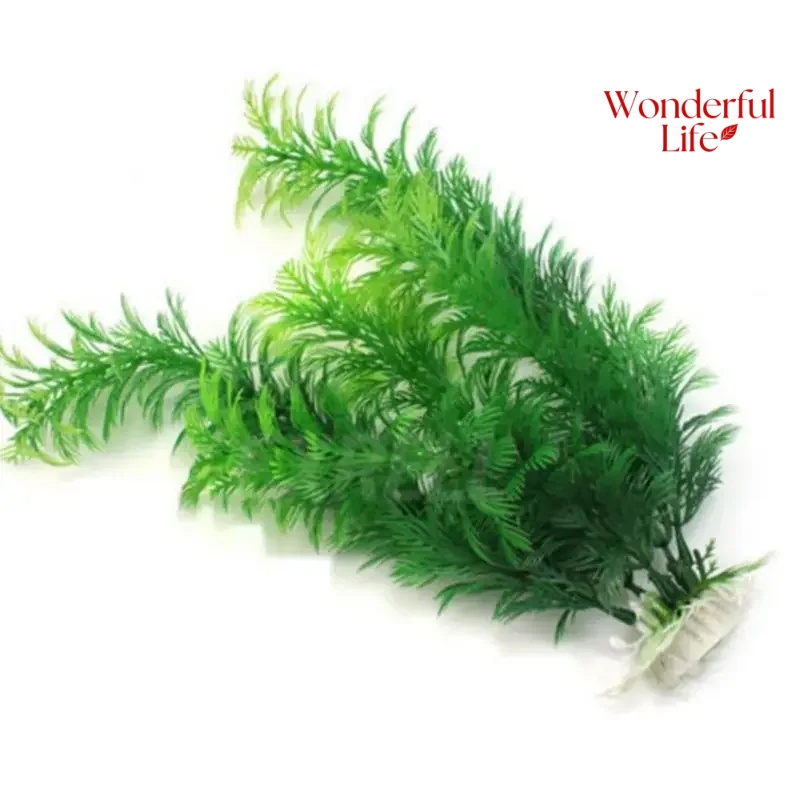 19/30 سنتيمتر العشب المياه الن - مراجعة Aquarium Plants Live وسعره