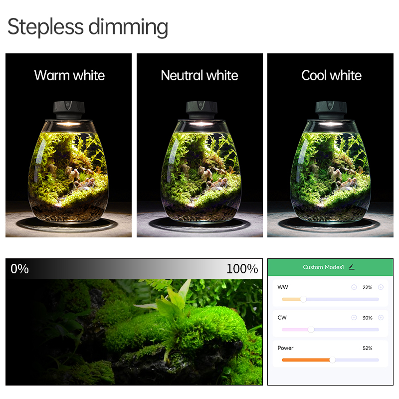 COB نبات Microlandscape ملء ضو - مراجعة Planted Tank وسعره
