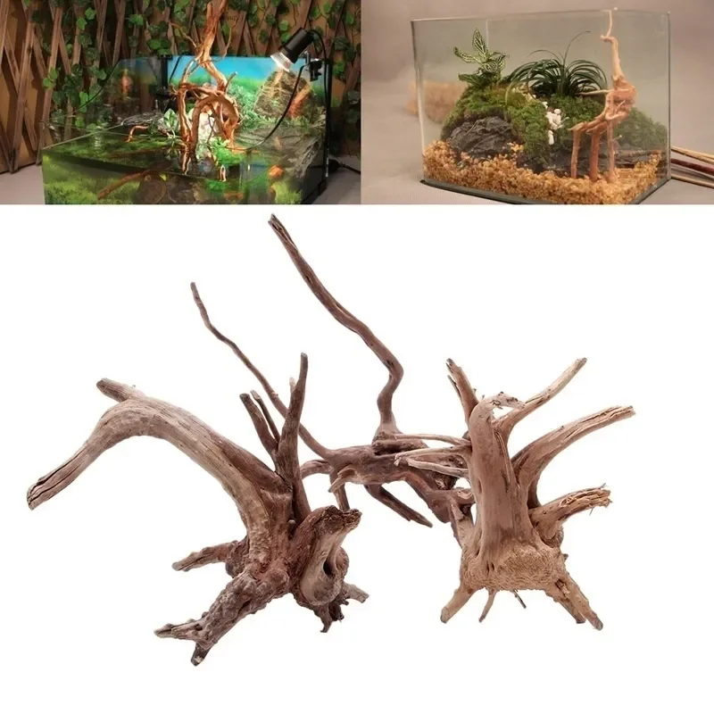 شجرة طبيعية جذع Driftwood لحوض - مراجعة Aquarium Plants Live وسعره