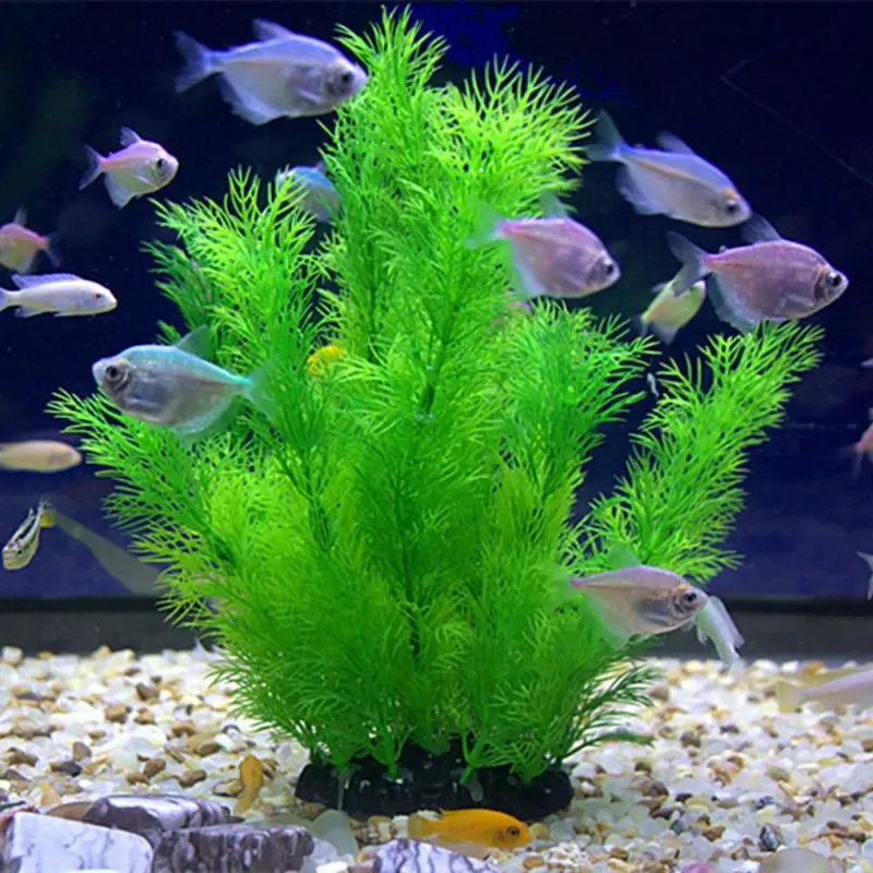 نباتات ديكور حوض السمك الاصطنا - مراجعة Aquarium Plants Live وسعره