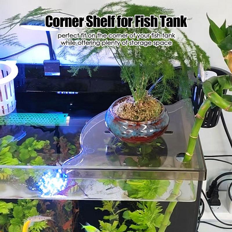 رف زاوية لخزان الأسماك، رف زاو - مراجعة Aquarium Plant Holder وسعره