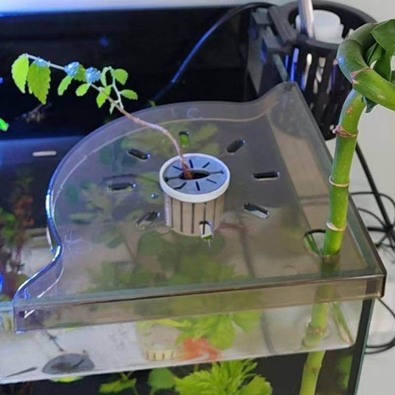 رف زاوية لخزان الأسماك، رف زاو - مراجعة Aquarium Plant Holder وسعره