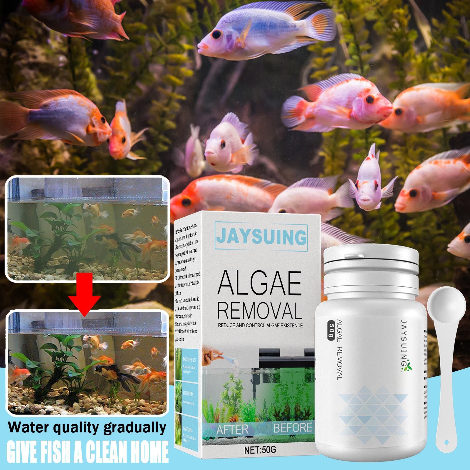 مسحوق إزالة الطحالب من أحواض ا - مراجعة Aquarium Moss وسعره