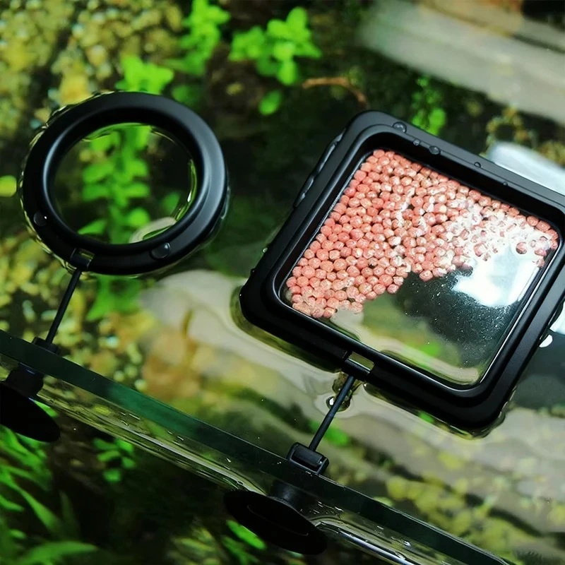 1/3 قطع حلقة تغذية أسماك حوض ا - مراجعة Aquarium Fertilizer وسعره