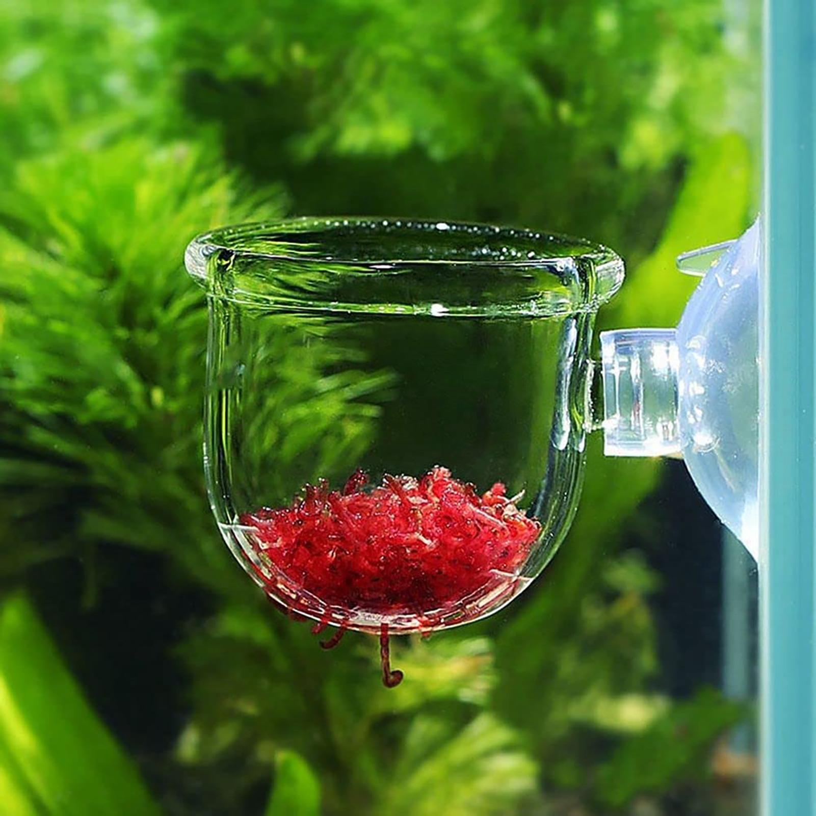 وعاء نباتات زينة حوض السمك، حا - مراجعة Plant Aquarium Pot وسعره
