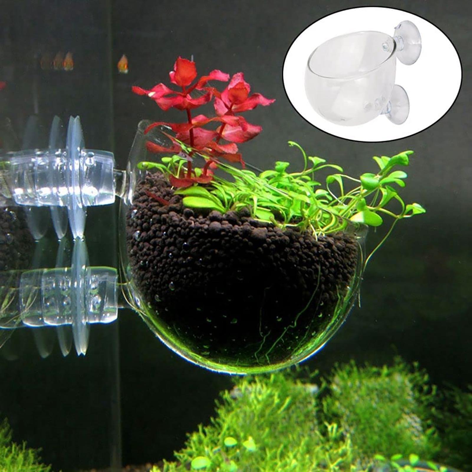 وعاء نباتات زينة حوض السمك، حا - مراجعة Plant Aquarium Pot وسعره