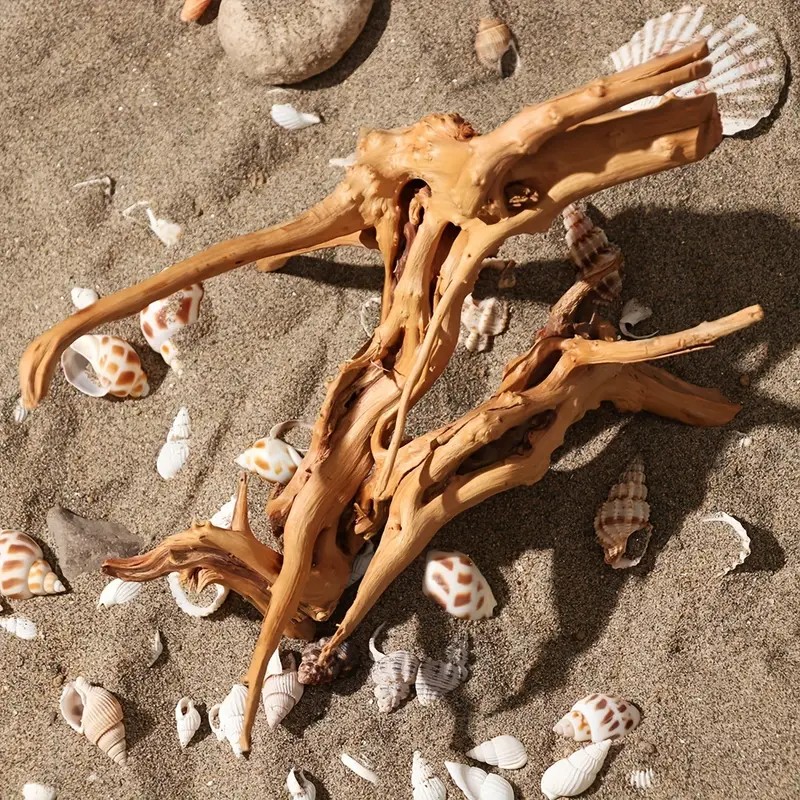 7-26 سنتيمتر 4 أحجام Driftwood - مراجعة Aquarium Plants Live وسعره