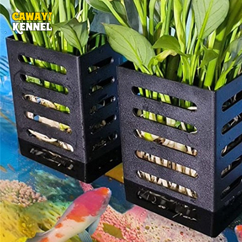 الحيوانات الأليفة خزان الأسماك - مراجعة Aquarium Plants Live وسعره