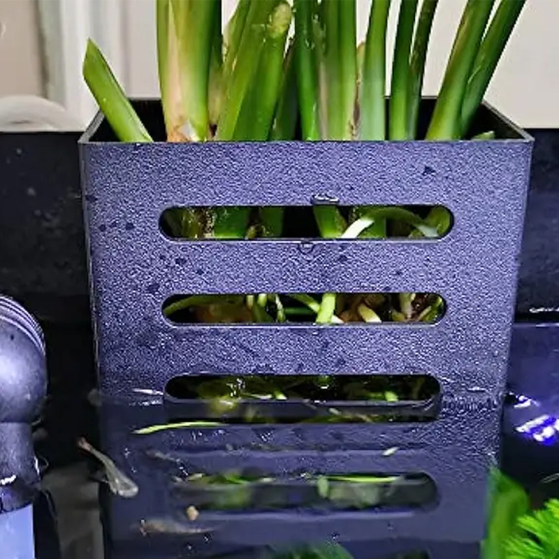 الحيوانات الأليفة خزان الأسماك - مراجعة Aquarium Plants Live وسعره