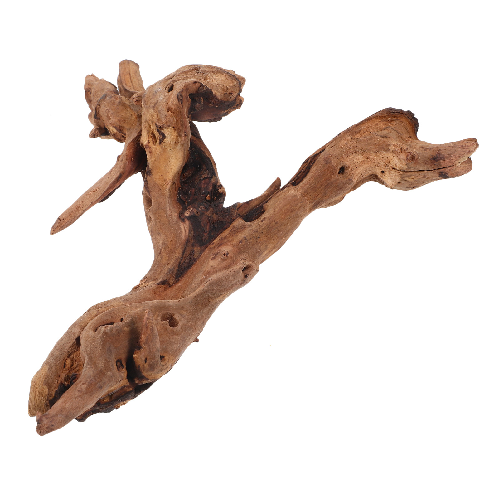خزان الأسماك الميت الخشب ديكور - مراجعة Aquarium Driftwood وسعره
