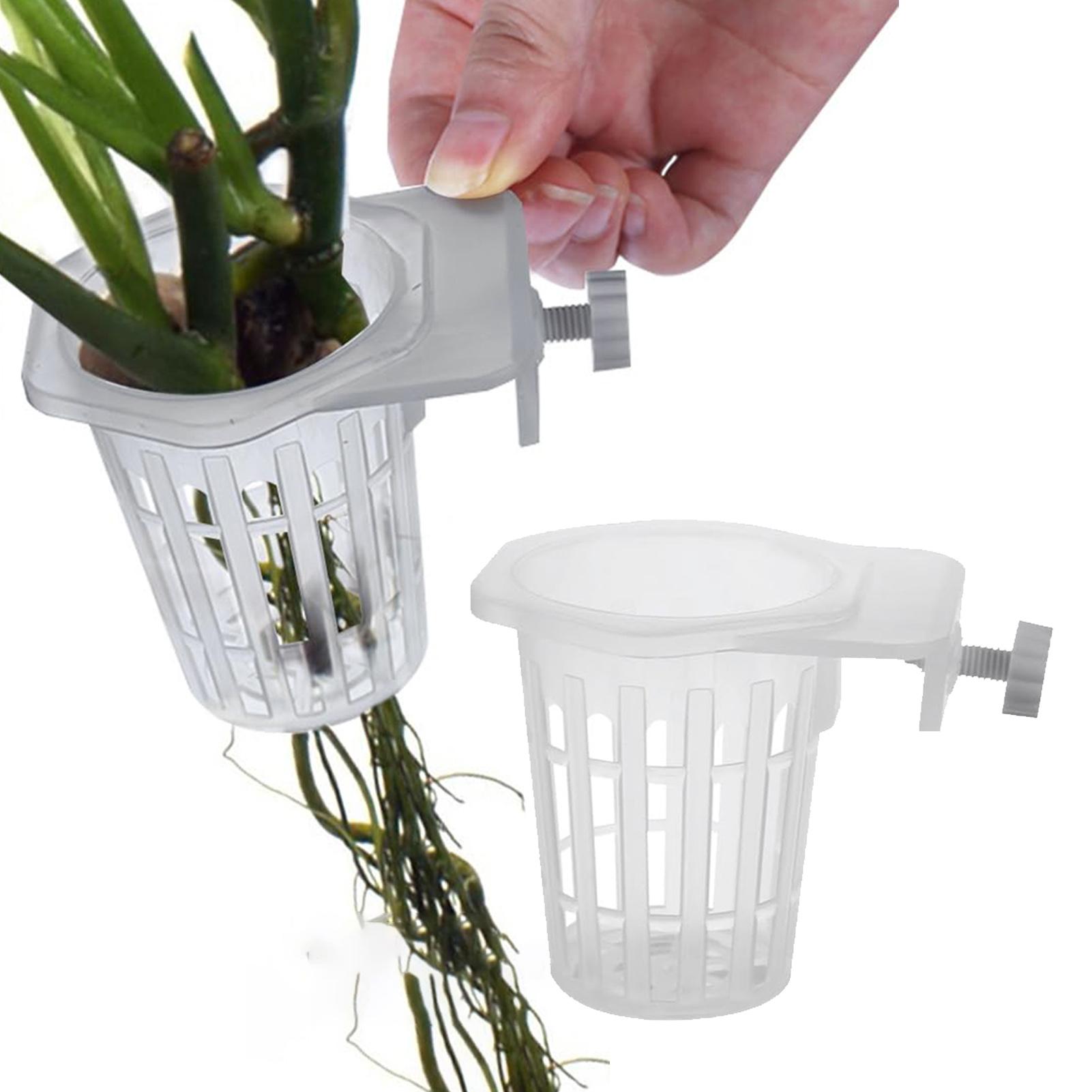 قطعتان من حامل النباتات المائي - مراجعة Aquarium Plant Holder وسعره