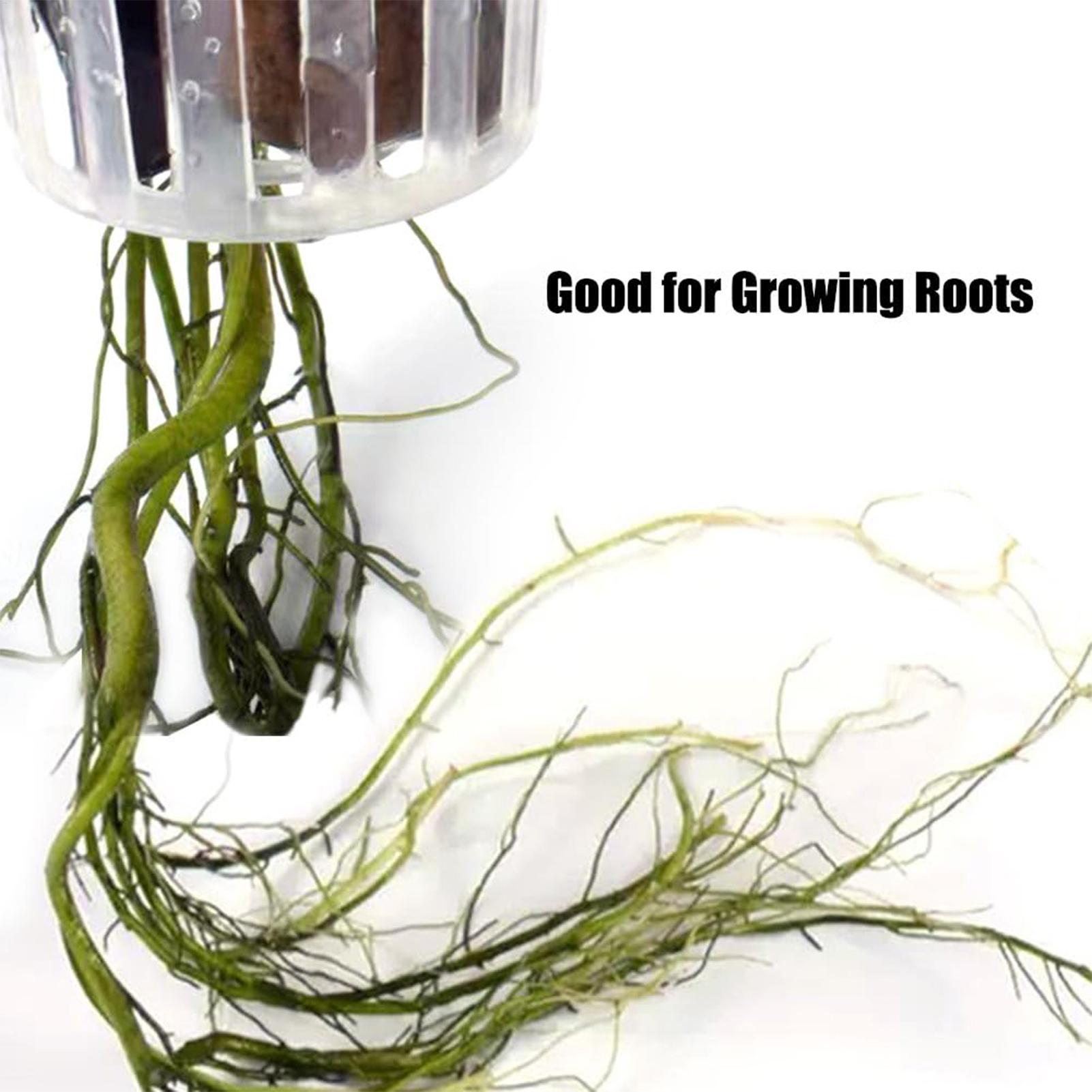 قطعتان من حامل النباتات المائي - مراجعة Aquarium Plant Holder وسعره