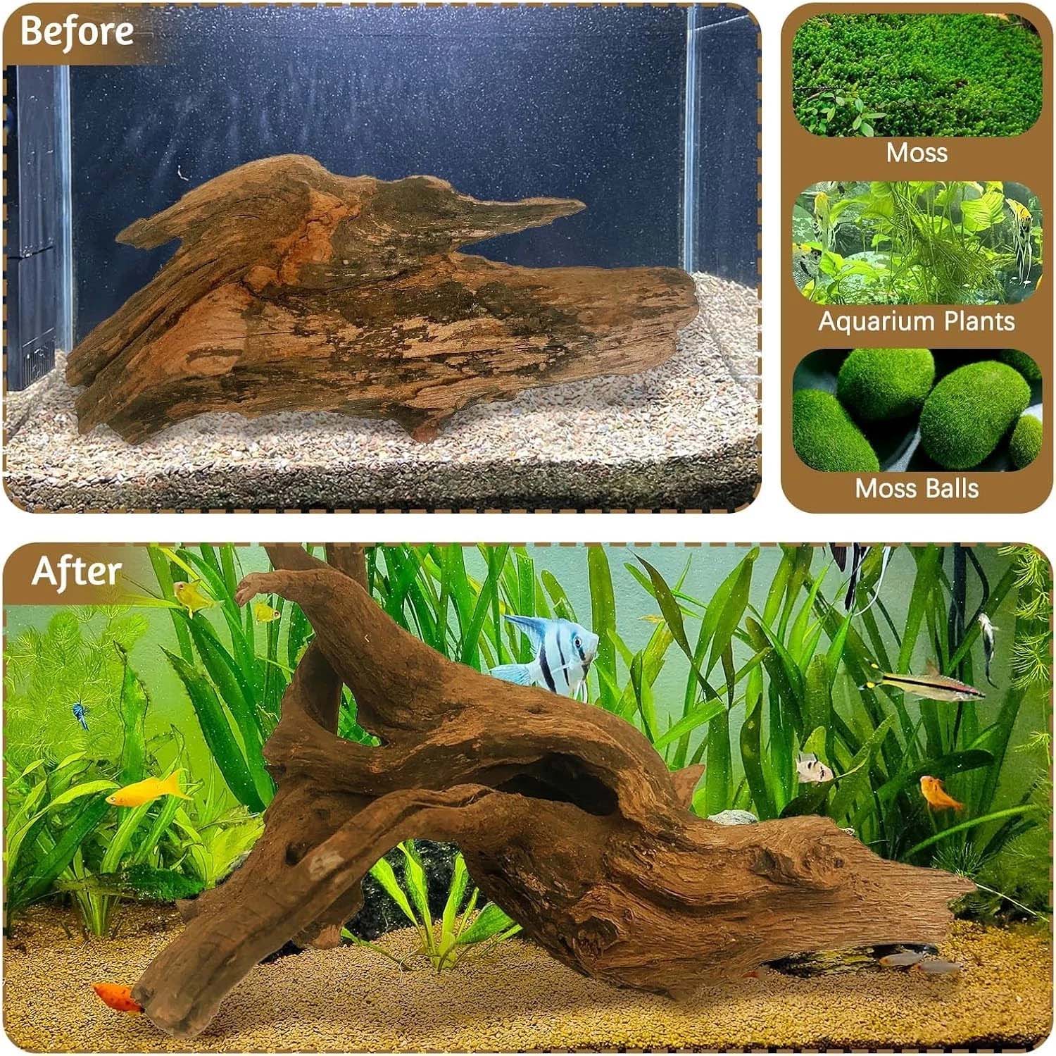 قطعة واحدة من الخشب الطبيعي ال - مراجعة Aquarium Plant Substrate وسعره