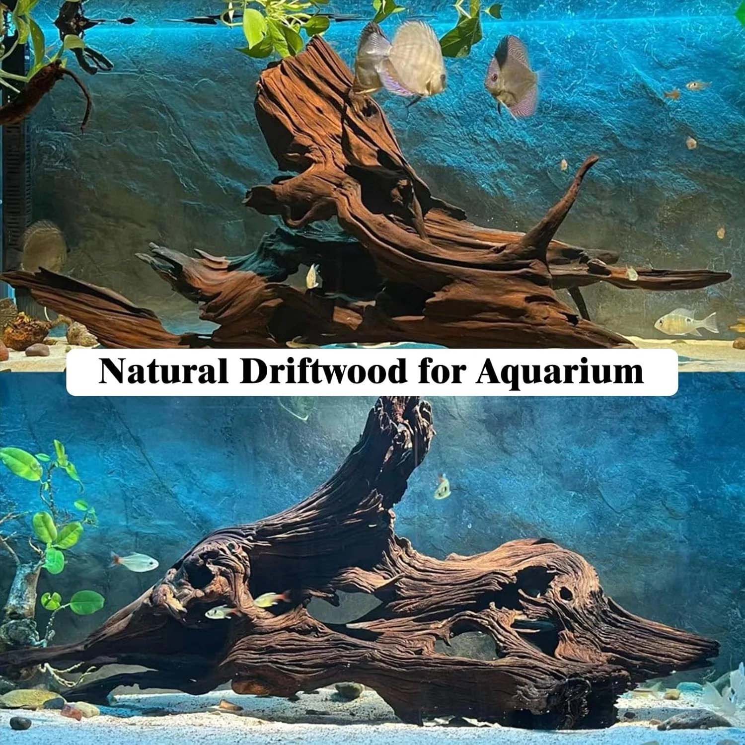قطعة واحدة من الخشب الطبيعي ال - مراجعة Aquarium Plant Substrate وسعره