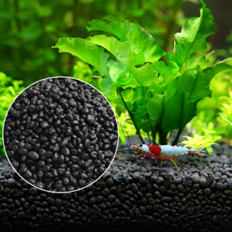 نباتات أحواض السمك ، التربة ،  - مراجعة Aquarium Plant Substrate وسعره