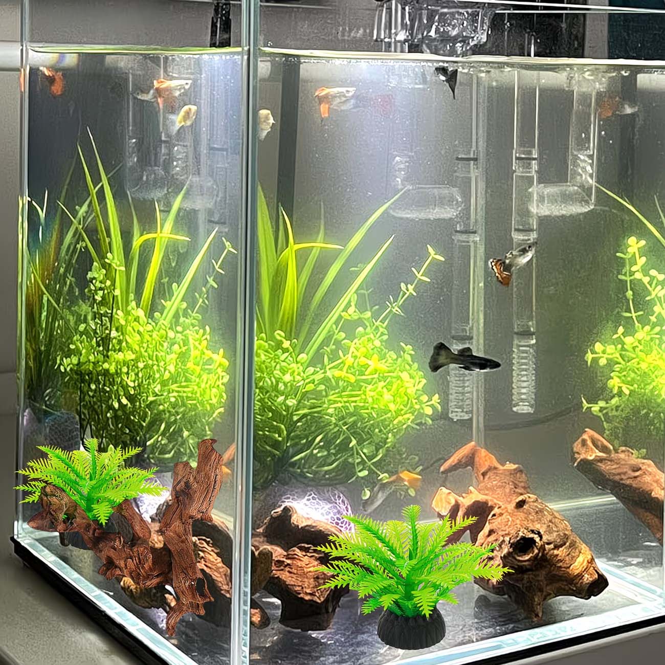 خشب طبيعي قابل للغرق بطول 5-10 - مراجعة Aquarium Driftwood وسعره