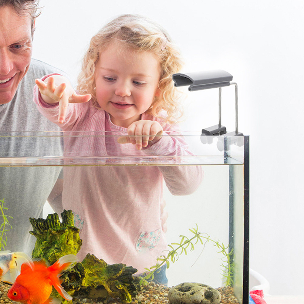 قطعتان من حامل إضاءة حوض السمك - مراجعة Aquarium Plant Holder وسعره