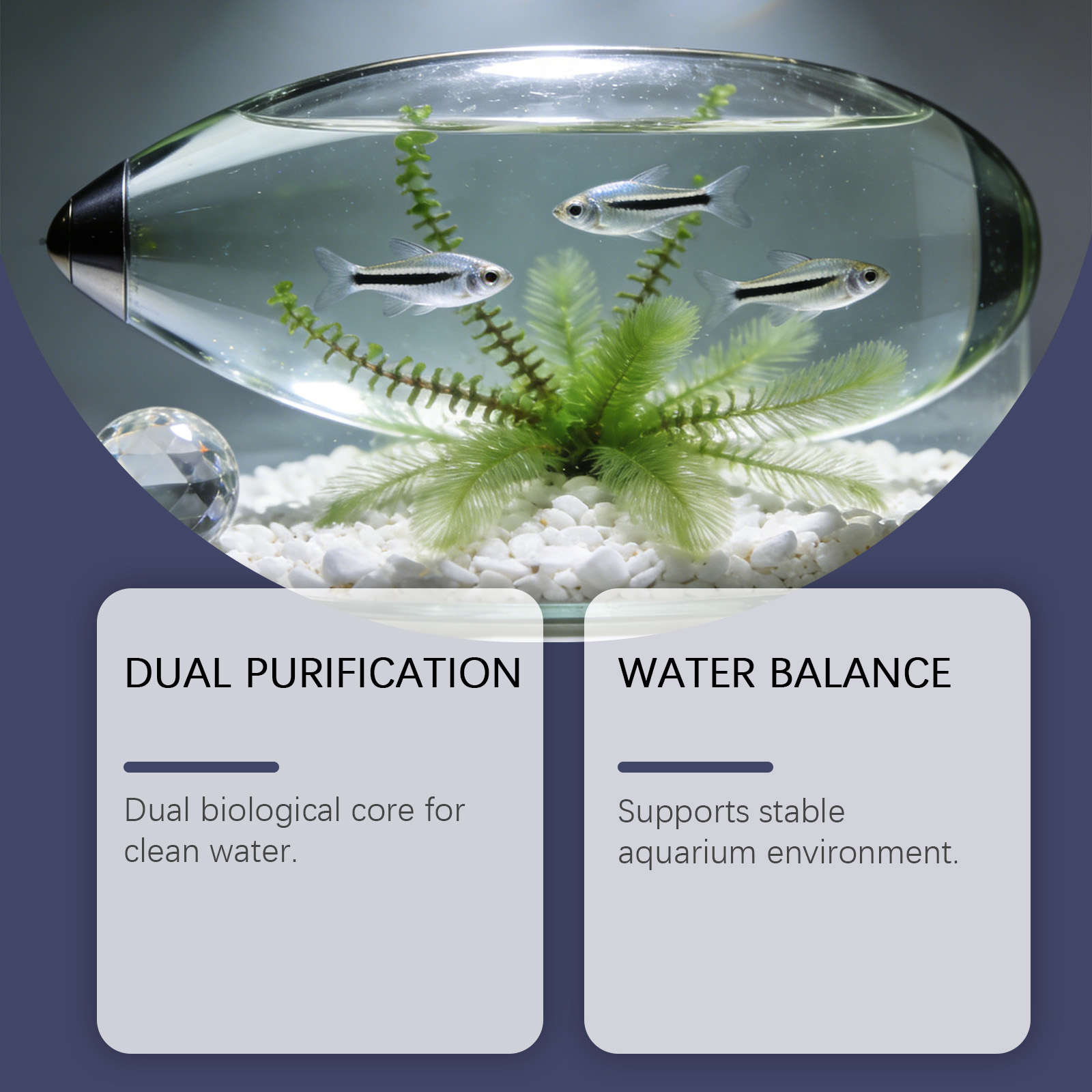 أقراص إزالة الطحالب لأحواض الس - مراجعة Planted Aquarium Algae Control وسعره