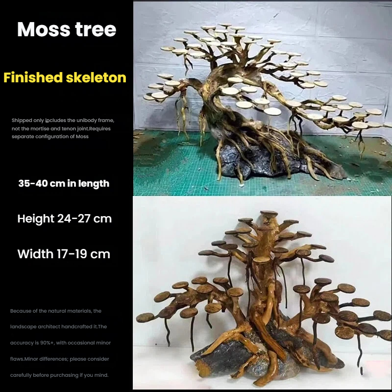 زينة حوض السمك: شجرة طحلب، هيك - مراجعة Aquarium Moss وسعره