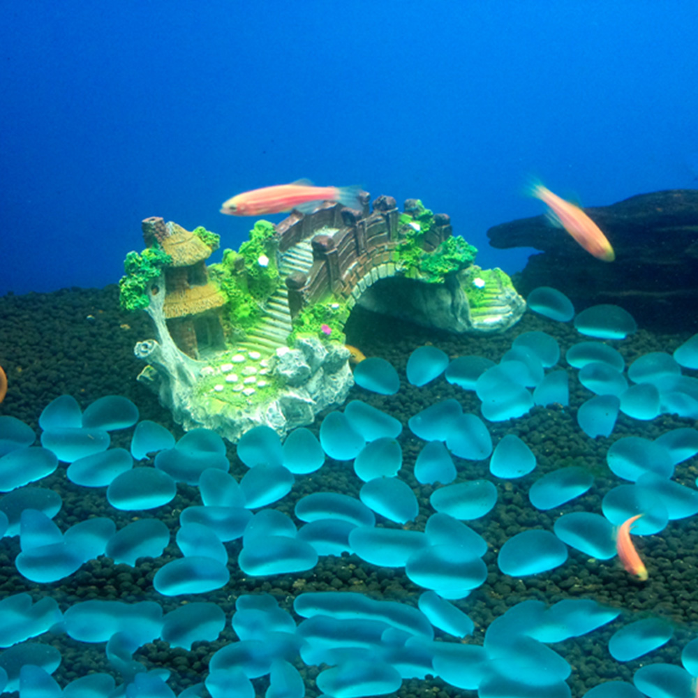اكسسوارات حوض السمك نبات شجرة  - مراجعة Aquarium Plant Substrate وسعره
