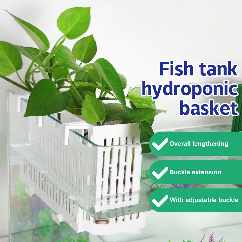 حامل نباتات مائية معلق لحوض ال - مراجعة Aquarium Plant Holder وسعره