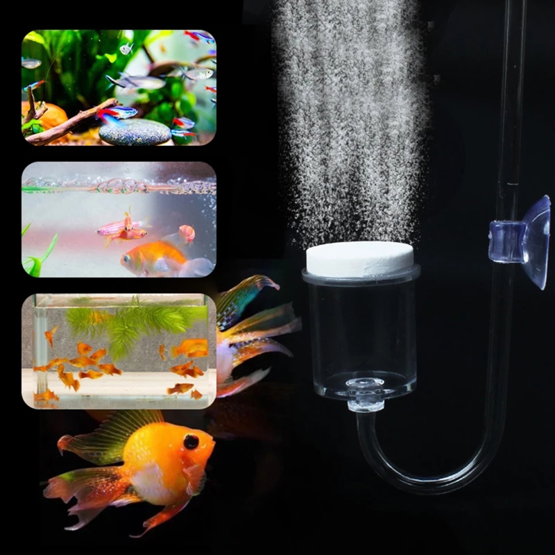 ناشر CO2 لحوض السمك ، خزان زجا - مراجعة Aquarium Moss وسعره