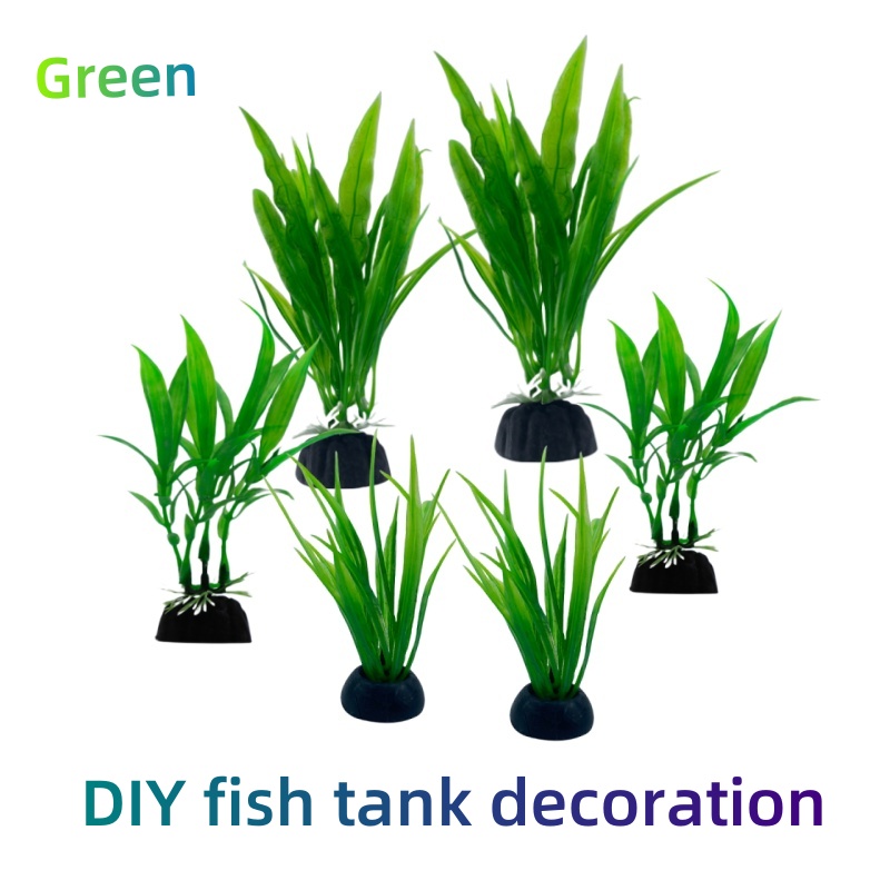 6 قطع من نباتات حوض السمك، زين - مراجعة Aquarium Plants Live وسعره