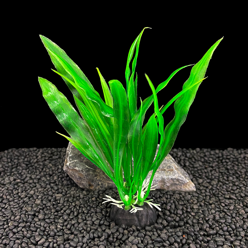 6 قطع من نباتات حوض السمك، زين - مراجعة Aquarium Plants Live وسعره